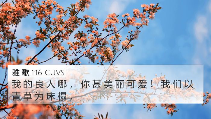雅 歌 1:16 CUVS Bible Verse Image