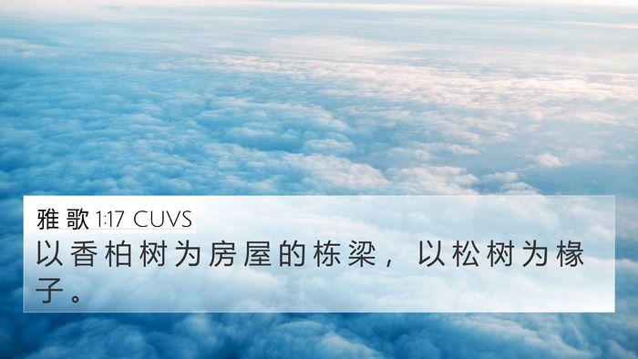 雅 歌 1:17 CUVS Bible Verse Image