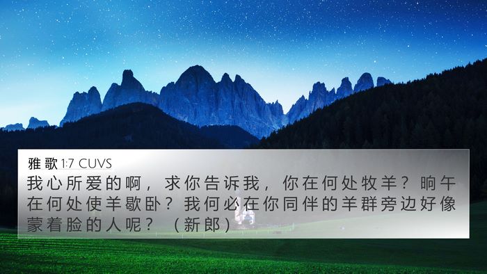 雅 歌 1:7 CUVS Bible Verse Image