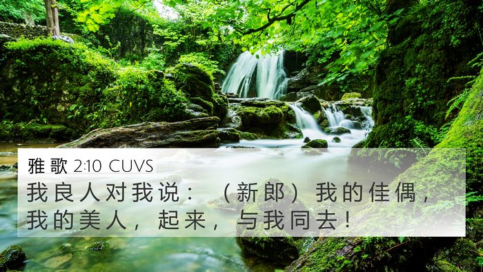 雅 歌 2:10 CUVS Bible Verse Image