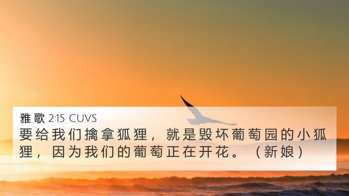 雅 歌 2:15 CUVS Bible Verse Image