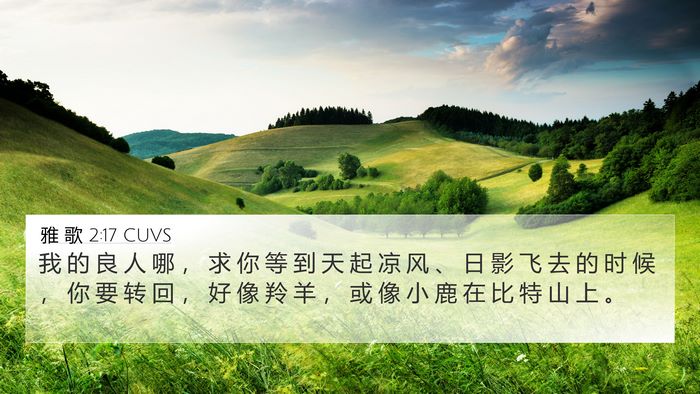 雅 歌 2:17 CUVS Bible Verse Image