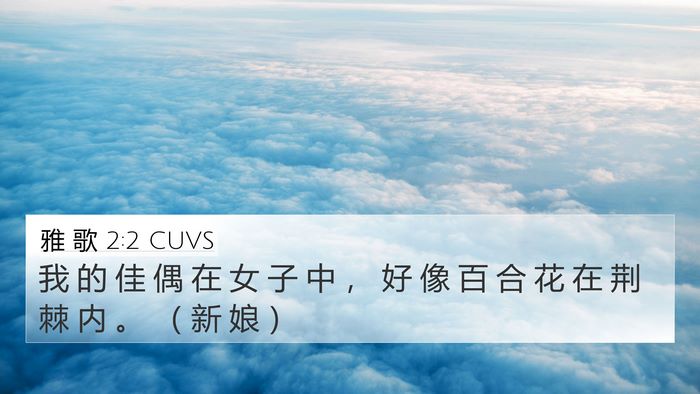 雅 歌 2:2 CUVS Bible Verse Image