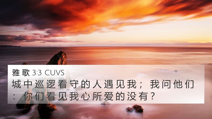 雅 歌 3:3 CUVS Bible Verse Image