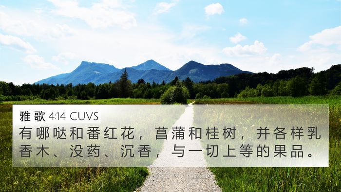雅 歌 4:14 CUVS Bible Verse Image