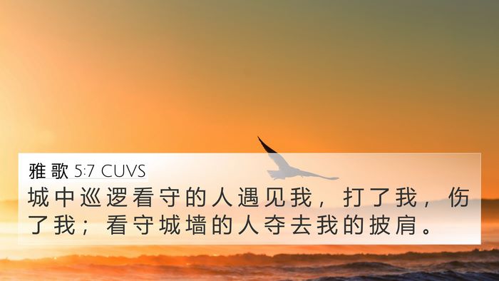 雅 歌 5:7 CUVS Bible Verse Image