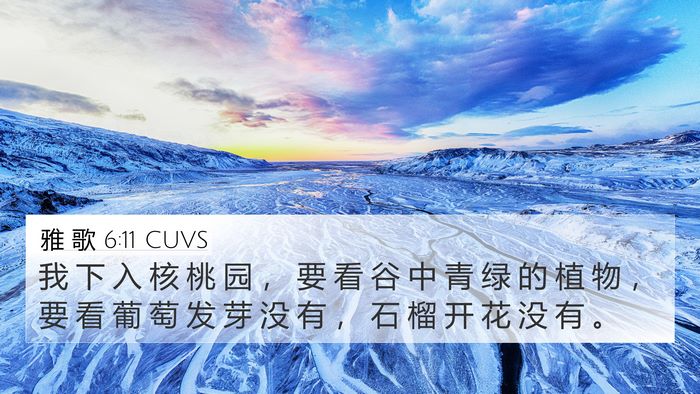 雅 歌 6:11 CUVS Bible Verse Image