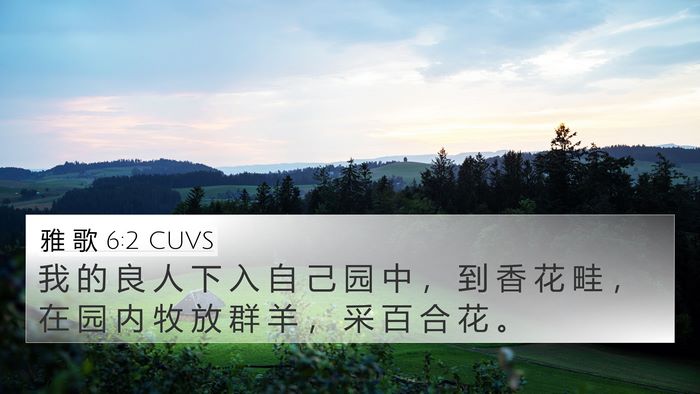 雅 歌 6:2 CUVS Bible Verse Image