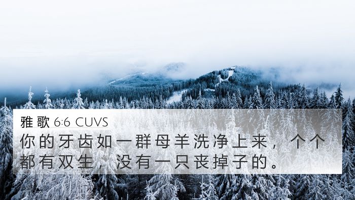 雅 歌 6:6 CUVS Bible Verse Image