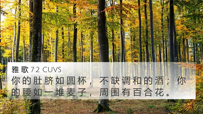 雅 歌 7:2 CUVS 4K Wallpaper - 你 的 肚 脐 如 圆 杯 ， 不 缺 调 和 - 4K Wallpaper Bible Verse