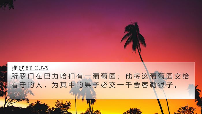 雅 歌 8:11 CUVS Bible Verse Image