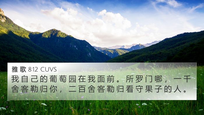 雅 歌 8:12 CUVS Bible Verse Image