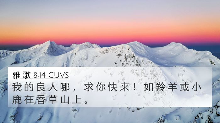 雅 歌 8:14 CUVS Bible Verse Image