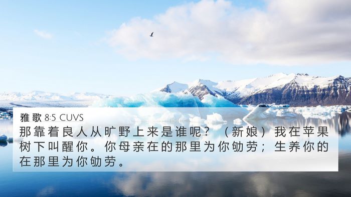 雅 歌 8:5 CUVS Bible Verse Image