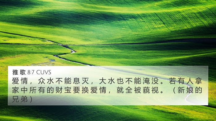 雅 歌 8:7 CUVS Bible Verse Image