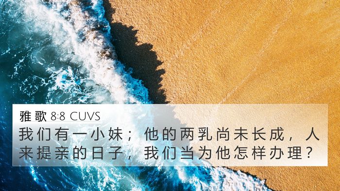 雅 歌 8:8 CUVS Bible Verse Image