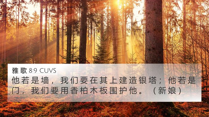 雅 歌 8:9 CUVS Bible Verse Image