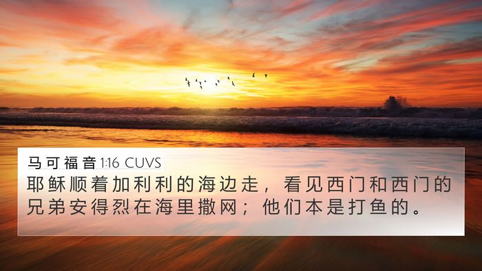 马 可 福 音 1:16 CUVS 4K Wallpaper - 耶 稣 顺 着 加 利 利 的 海 边 走 ， - 4K Wallpaper Bible Verse