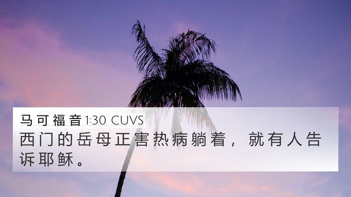 马 可 福 音 1:30 CUVS 4K Wallpaper - 西 门 的 岳 母 正 害 热 病 躺 着 ， - 4K Wallpaper Bible Verse