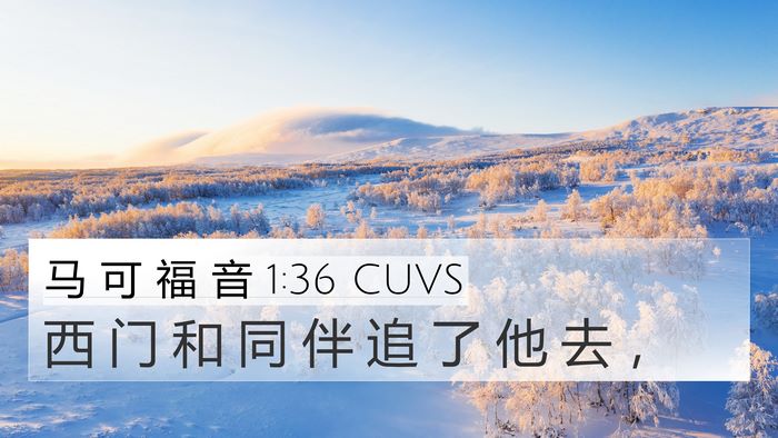 马 可 福 音 1:36 CUVS 4K Wallpaper - 西 门 和 同 伴 追 了 他 去 - 4K Wallpaper Bible Verse