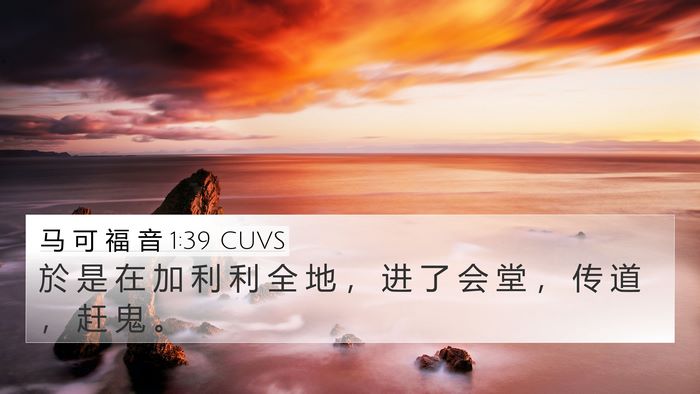 马 可 福 音 1:39 CUVS Bible Verse Image