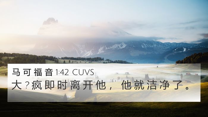 马 可 福 音 1:42 CUVS 4K Wallpaper - 大 ? 疯 即 时 离 开 他 ， 他 就 洁 净 - 4K Wallpaper Bible Verse