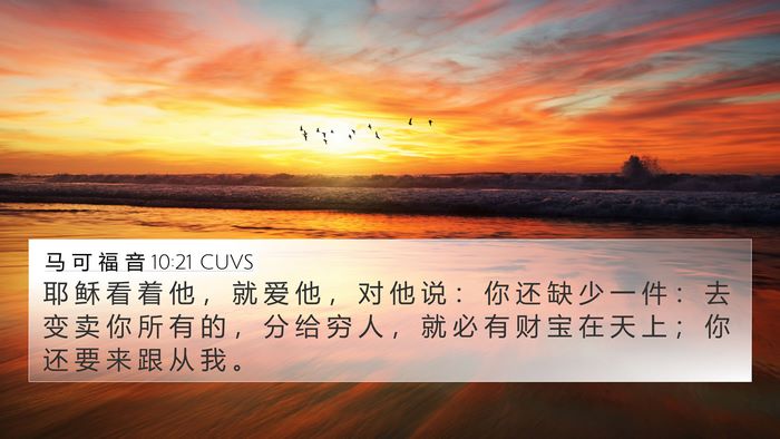 马 可 福 音 10:21 CUVS Bible Verse Image