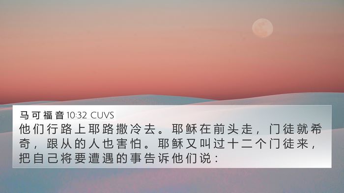 马 可 福 音 10:32 CUVS Bible Verse Image