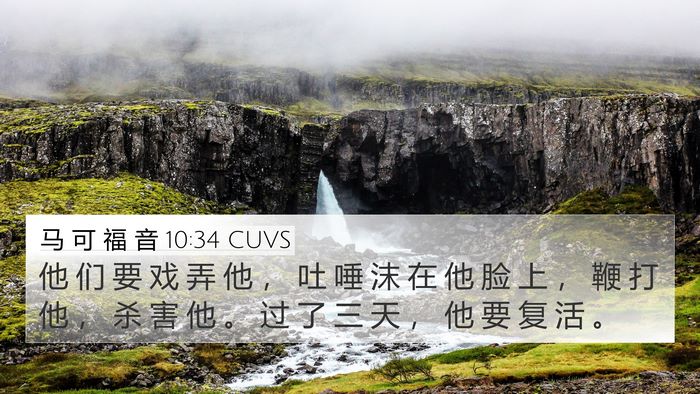 马 可 福 音 10:34 CUVS Bible Verse Image