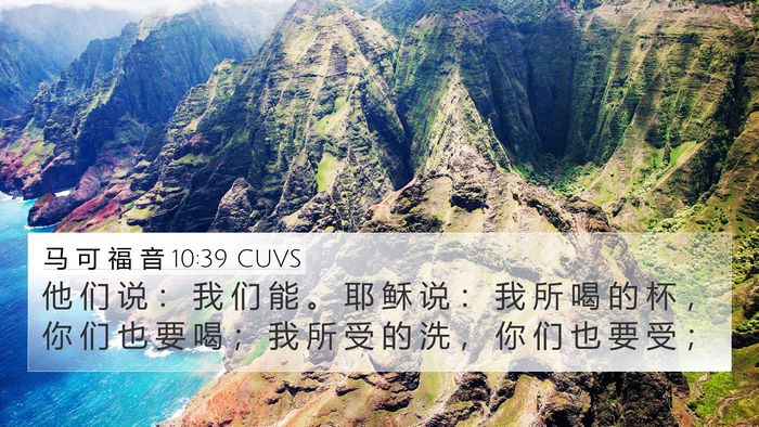 马 可 福 音 10:39 CUVS 4K Wallpaper - 他 们 说 ： 我 们 能 。 耶 稣 说 ： - 4K Wallpaper Bible Verse