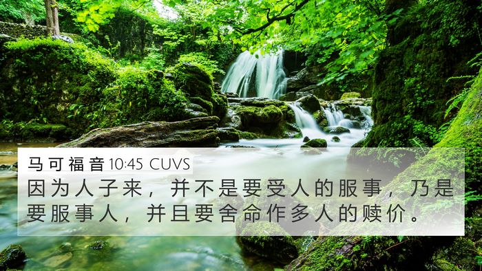 马 可 福 音 10:45 CUVS Bible Verse Image