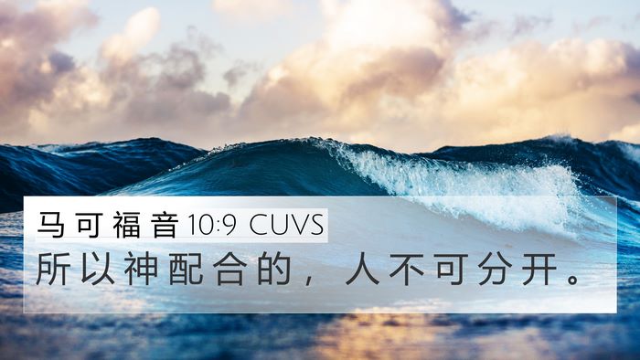 马 可 福 音 10:9 CUVS 4K Wallpaper - 所 以 神 配 合 的 ， 人 不 可 分 开 - 4K Wallpaper Bible Verse