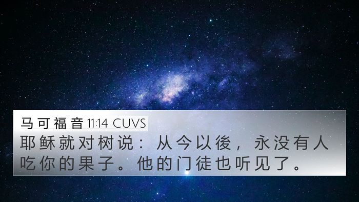 马 可 福 音 11:14 CUVS Bible Verse Image