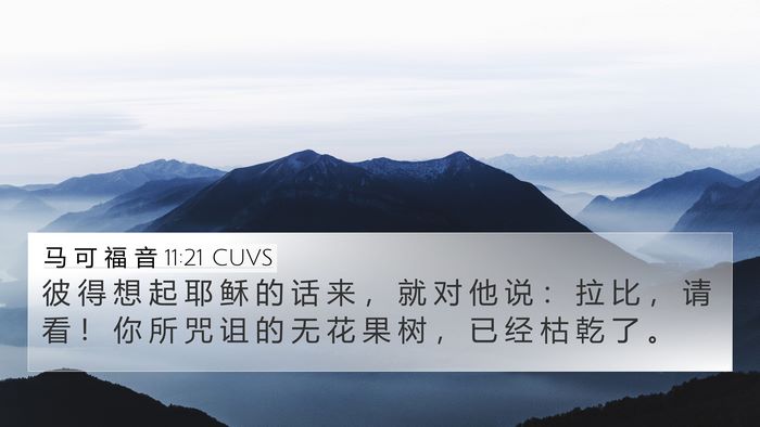 马 可 福 音 11:21 CUVS 4K Wallpaper - 彼 得 想 起 耶 稣 的 话 来 ， 就 对 - 4K Wallpaper Bible Verse
