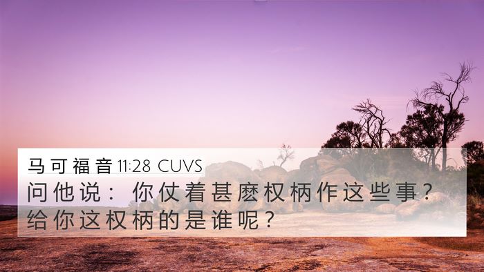 马 可 福 音 11:28 CUVS Bible Verse Image