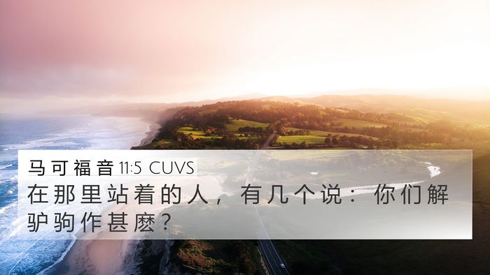 马 可 福 音 11:5 CUVS 4K Wallpaper - 在 那 里 站 着 的 人 ， 有 几 个 说 - 4K Wallpaper Bible Verse