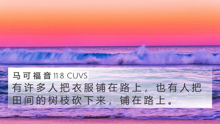 马 可 福 音 11:8 CUVS 4K Wallpaper - 有 许 多 人 把 衣 服 铺 在 路 上 ， - 4K Wallpaper Bible Verse