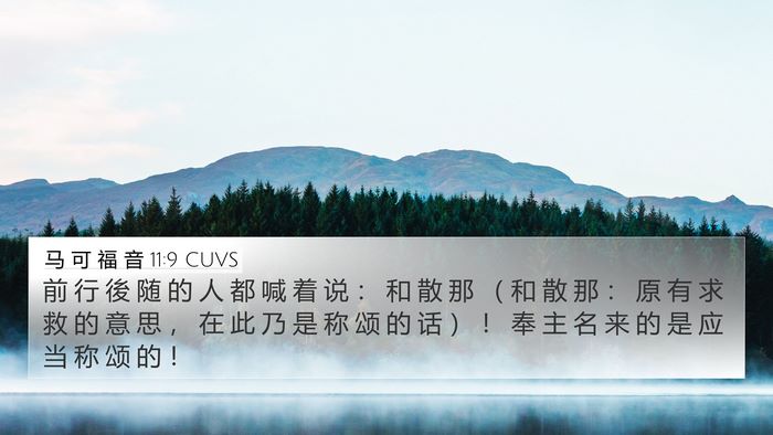 马 可 福 音 11:9 CUVS Bible Verse Image