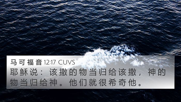 马 可 福 音 12:17 CUVS Bible Verse Image