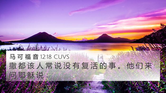 马 可 福 音 12:18 CUVS Bible Verse Image