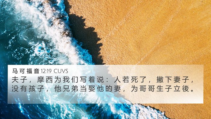 马 可 福 音 12:19 CUVS Bible Verse Image