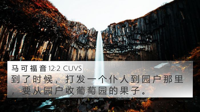 马 可 福 音 12:2 CUVS Bible Verse Image