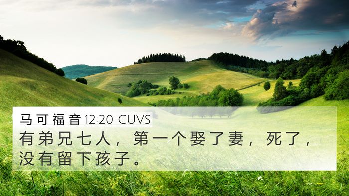 马 可 福 音 12:20 CUVS 4K Wallpaper - 有 弟 兄 七 人 ， 第 一 个 娶 了 妻 - 4K Wallpaper Bible Verse