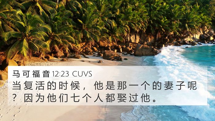马 可 福 音 12:23 CUVS Bible Verse Image