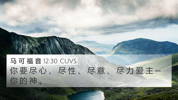 马 可 福 音 12:30 CUVS Bible Verse Image