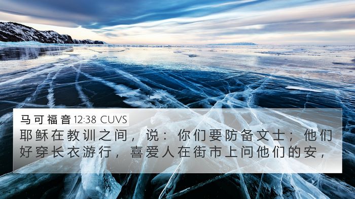 马 可 福 音 12:38 CUVS Bible Verse Image
