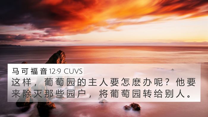 马 可 福 音 12:9 CUVS Bible Verse Image