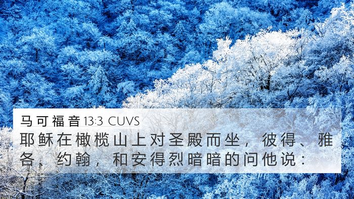 马 可 福 音 13:3 CUVS 4K Wallpaper - 耶 稣 在 橄 榄 山 上 对 圣 殿 而 坐 - 4K Wallpaper Bible Verse