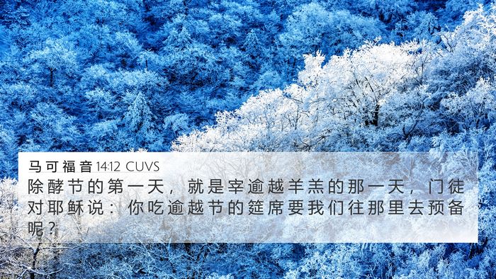 马 可 福 音 14:12 CUVS Bible Verse Image