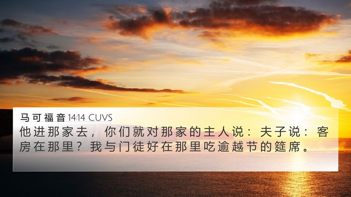 马 可 福 音 14:14 CUVS 4K Wallpaper - 他 进 那 家 去 ， 你 们 就 对 那 家 - 4K Wallpaper Bible Verse